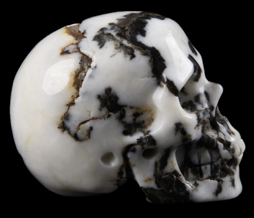 Skull Zebra Jaspis